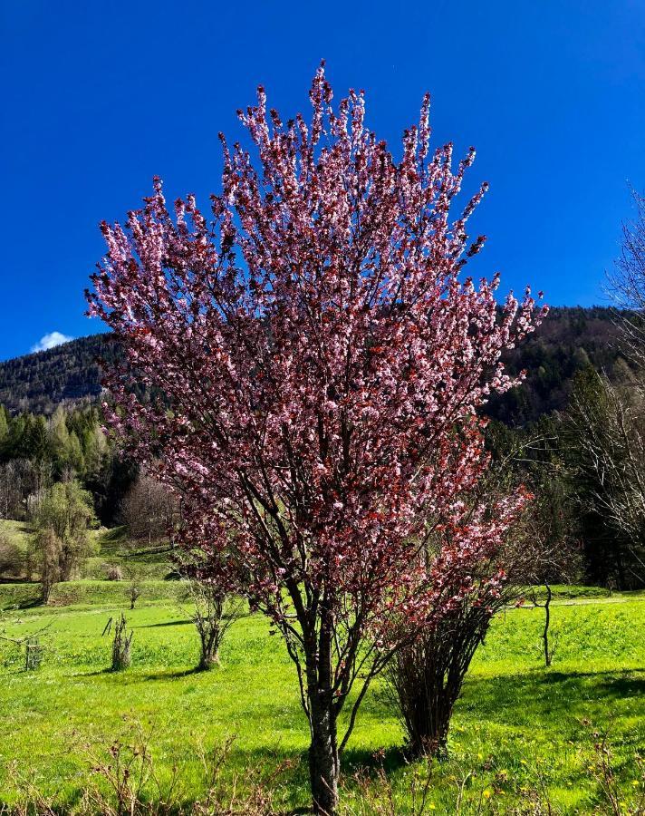 Residence Dolomiti Forni di Sopra Kültér fotó